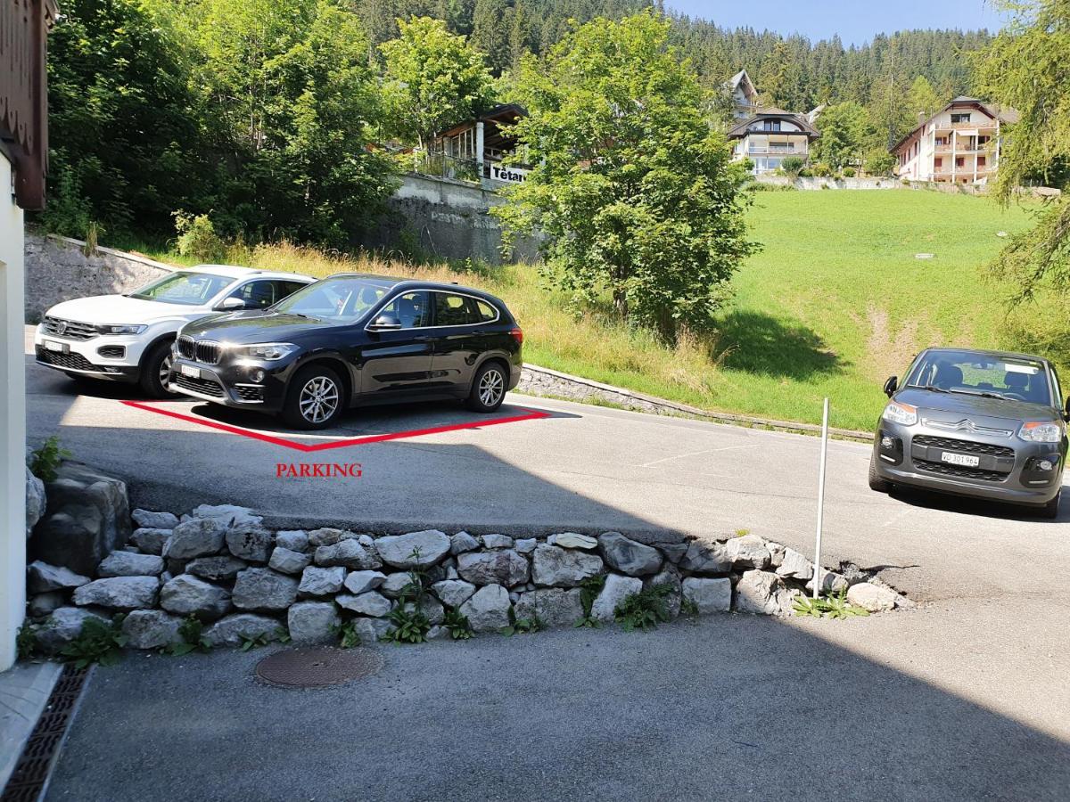 Apartament Nerine Leysin Zewnętrze zdjęcie