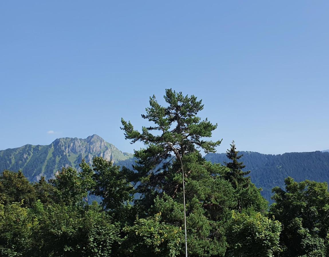 Apartament Nerine Leysin Zewnętrze zdjęcie